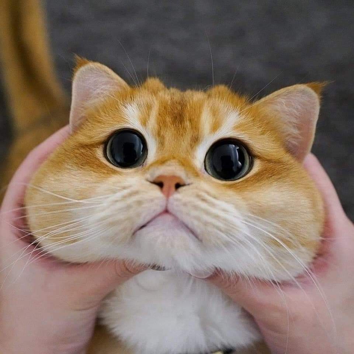 ❤❤❤