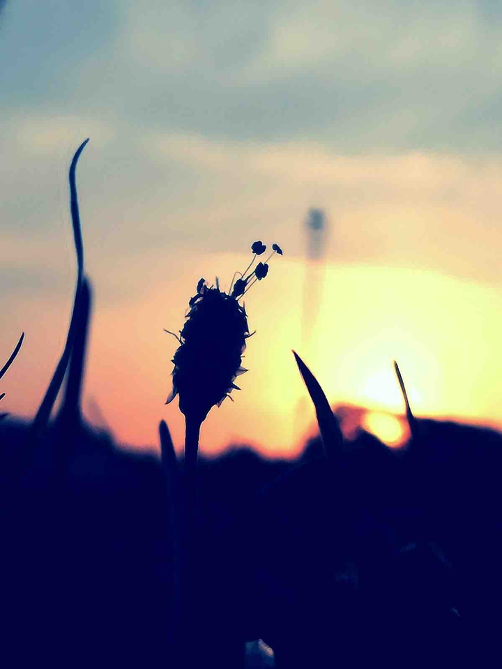 Sunset backdrop