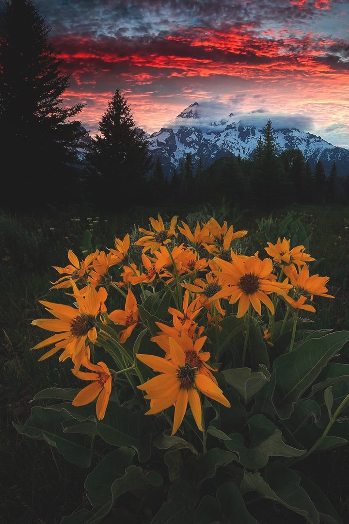 Grand Teton National Park