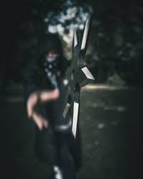 ninja