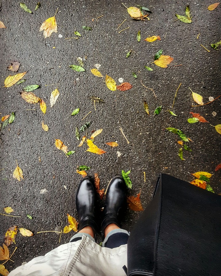 Autumn