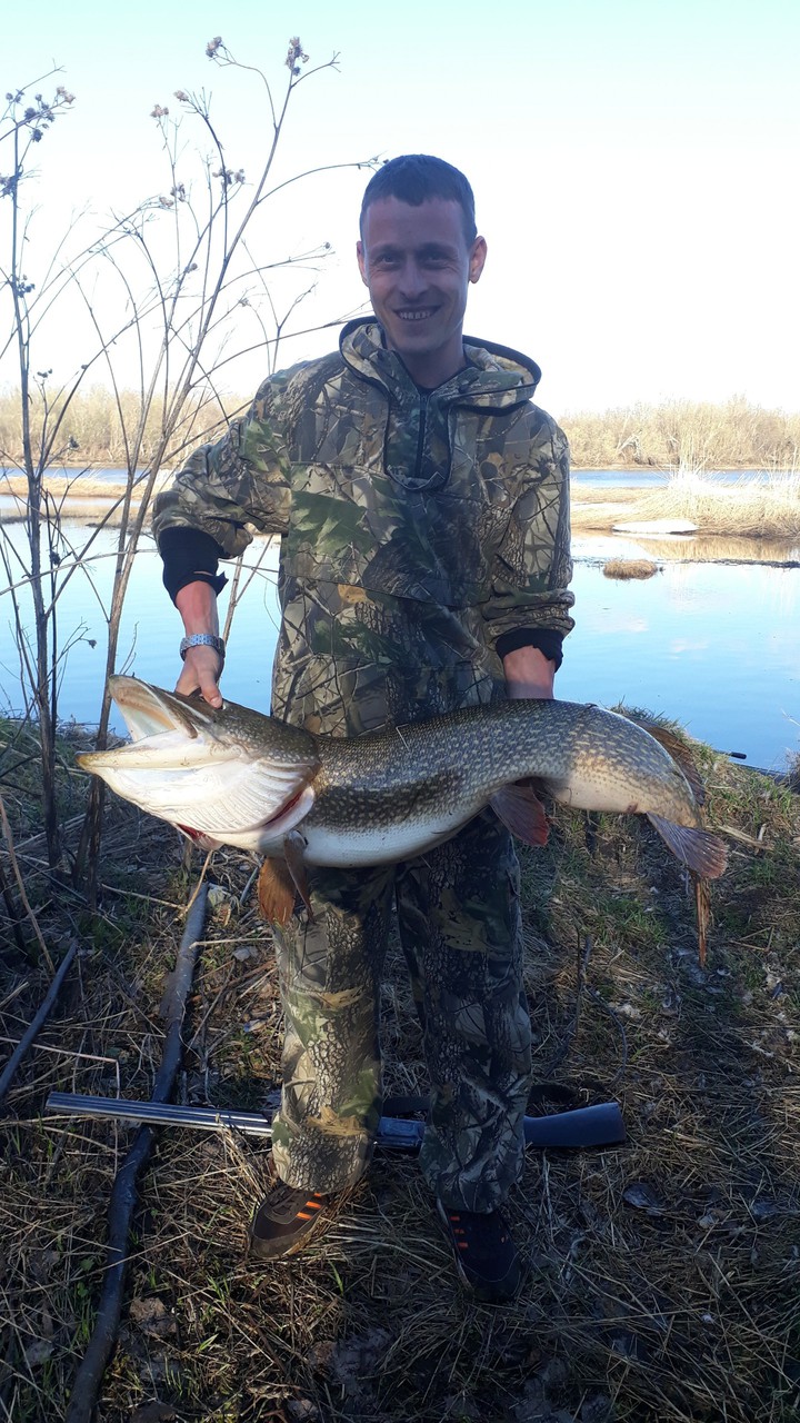 трофей