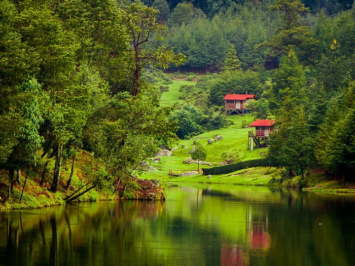 Nature View