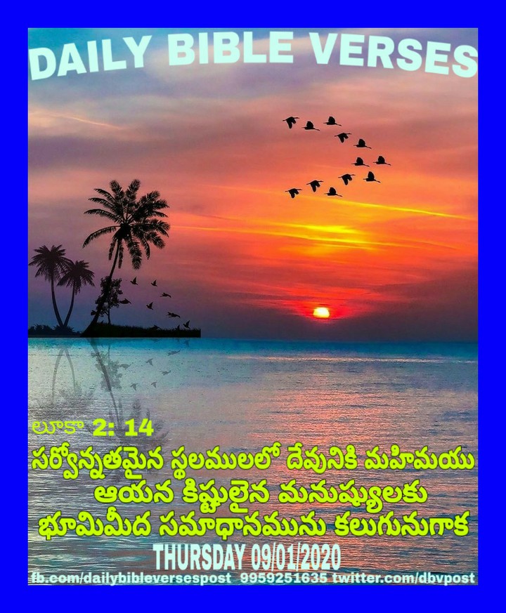 DAILY BIBLE VERSES