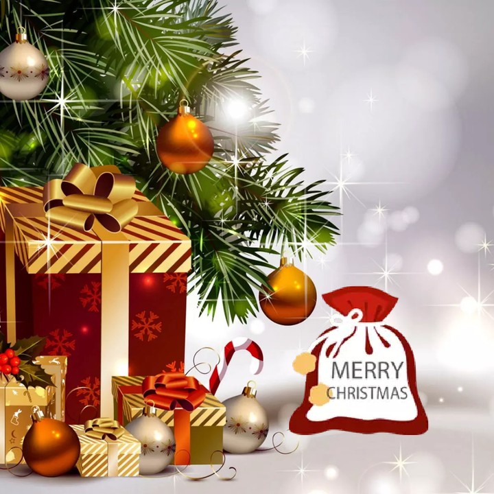 Merry Christmas
