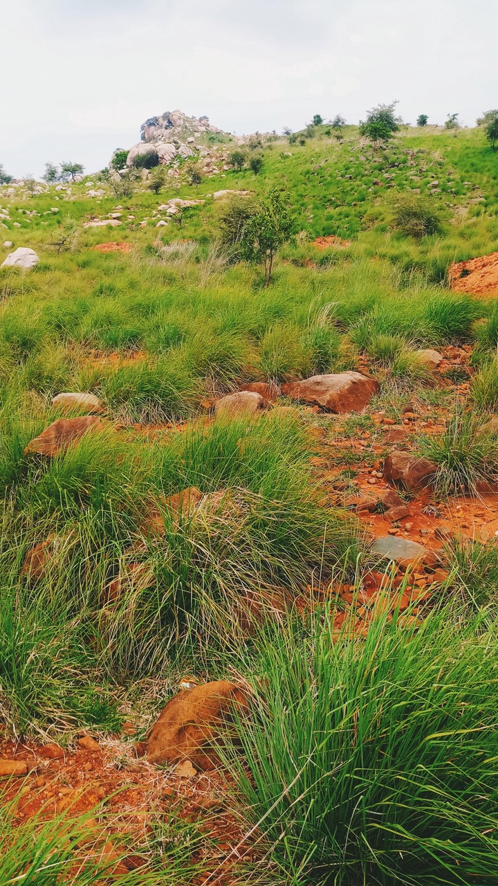Terrain