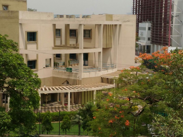 ccmg , university jamia millia islamia