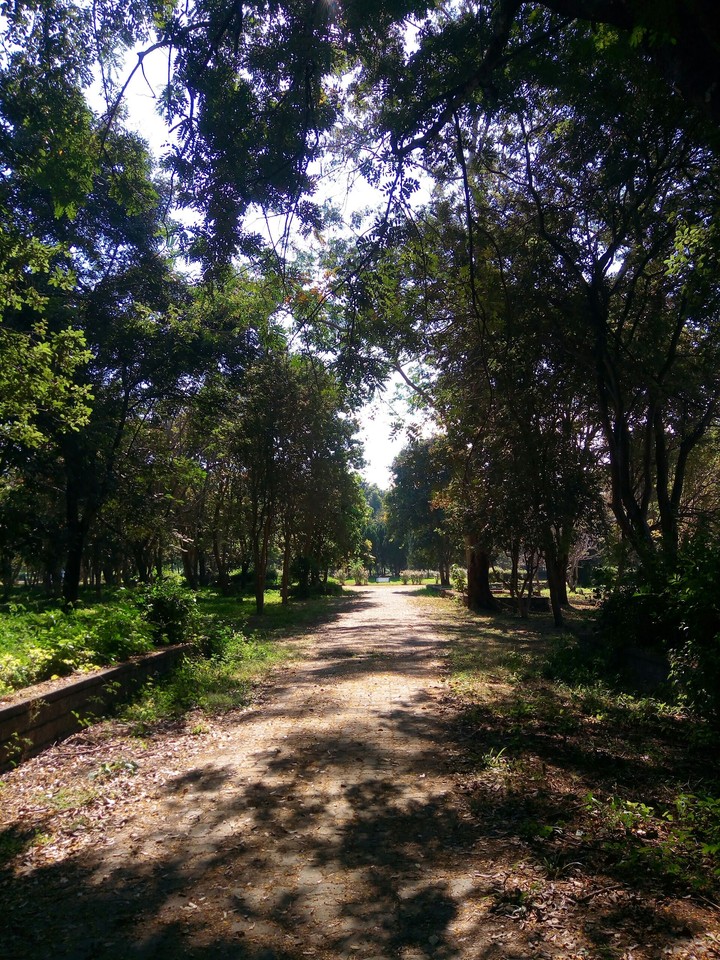 Breath~