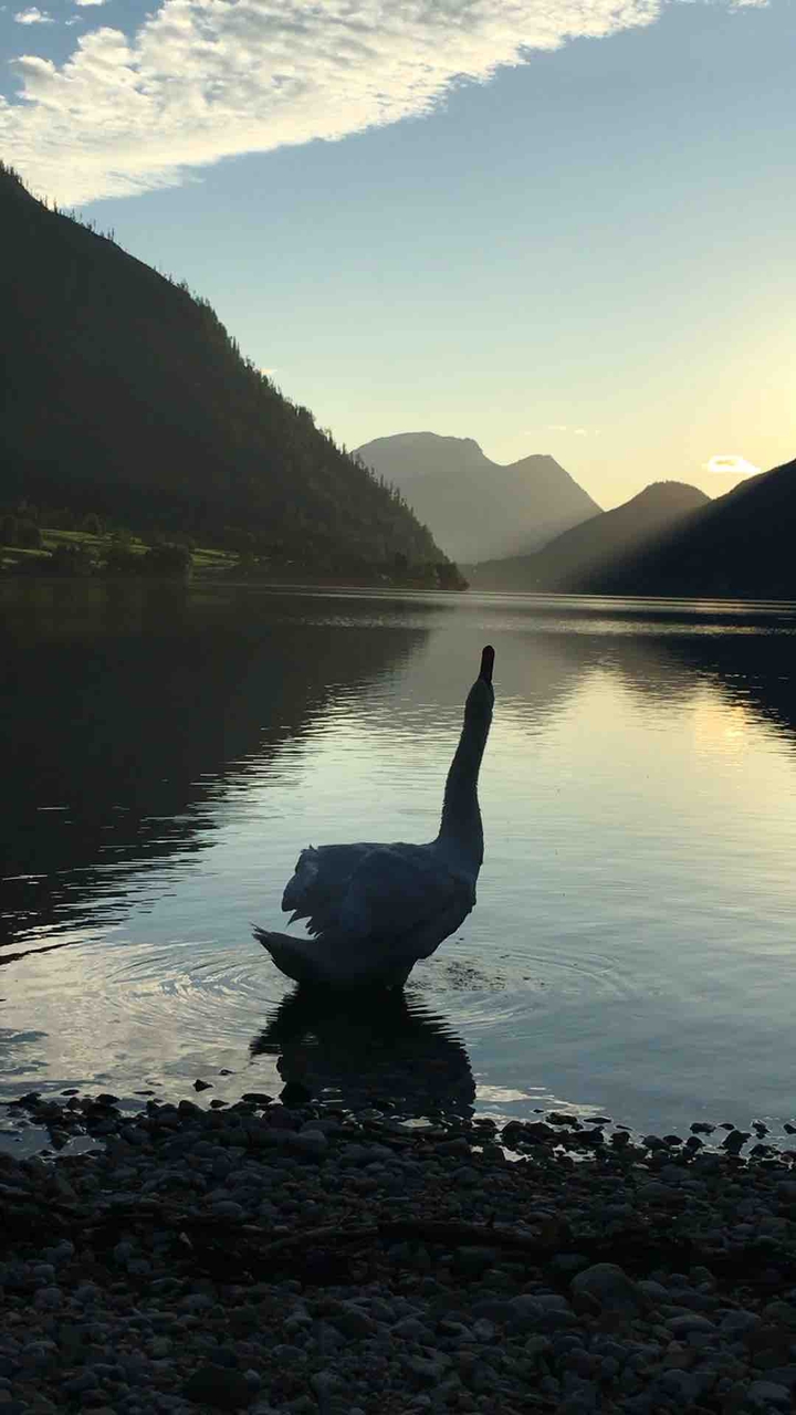 Sunset on the lake