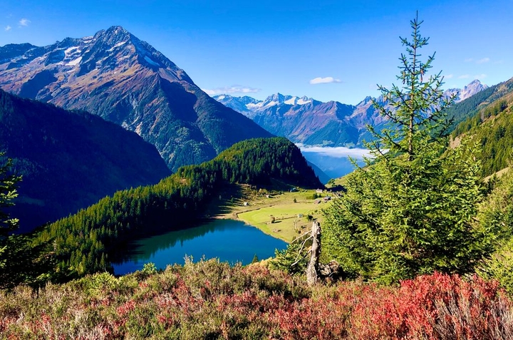 Nature