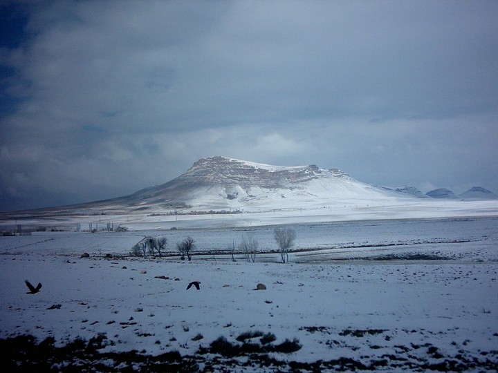 iran.bijar
