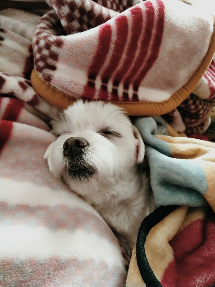 구름이