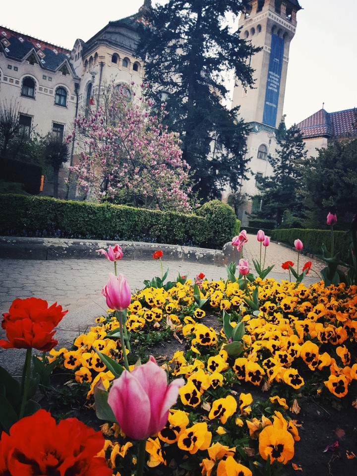 Springtime
