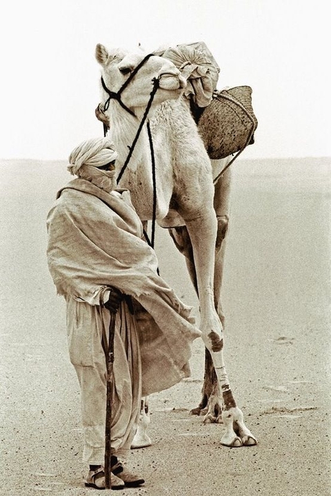 Desert, Natural_environment, Erg