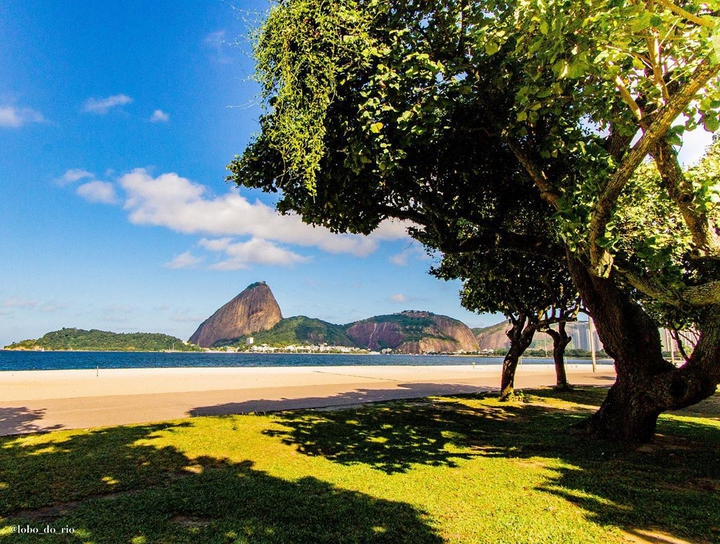 sugar loaf