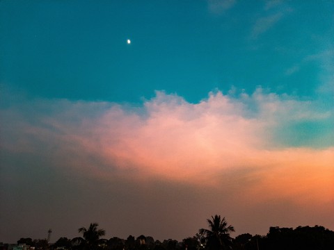 The shades of nature!