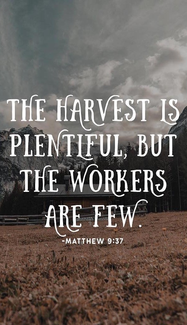 Harvest