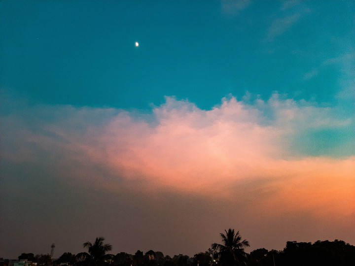 The shades of nature!