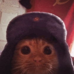 Soviet cat