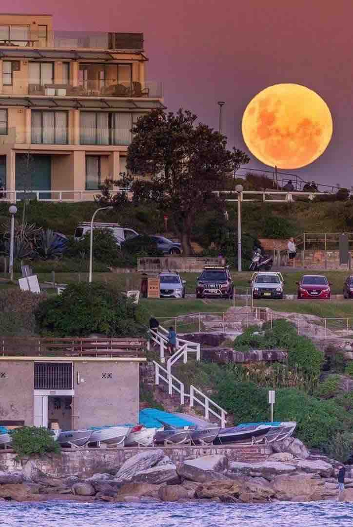 North Bondi last night. #nofilter #supermoon Thanks for send