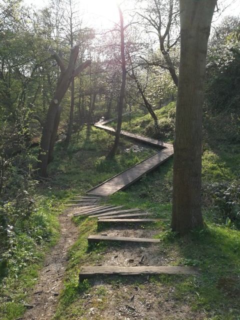 walk in the woods