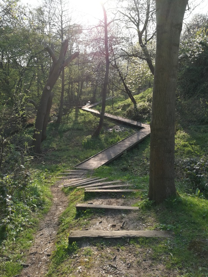 walk in the woods