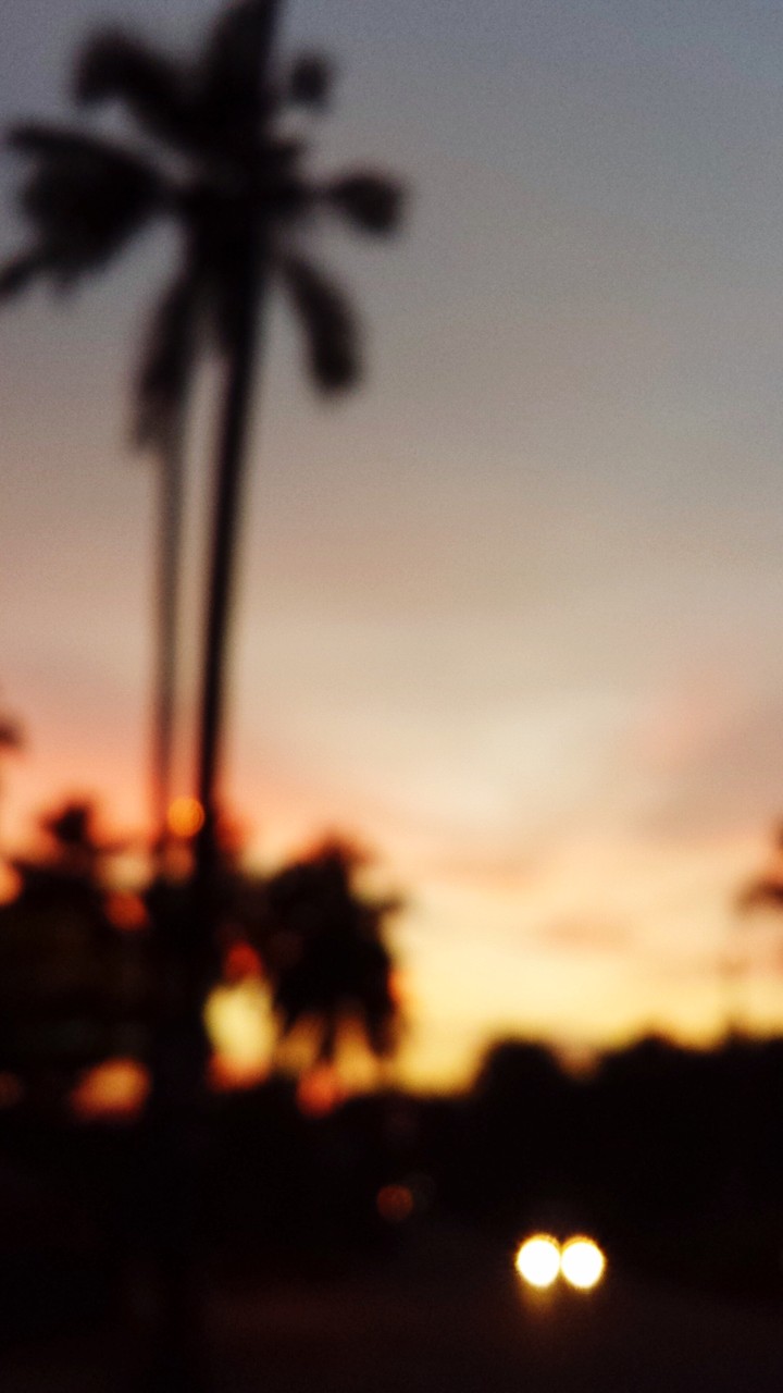 blurry sunset