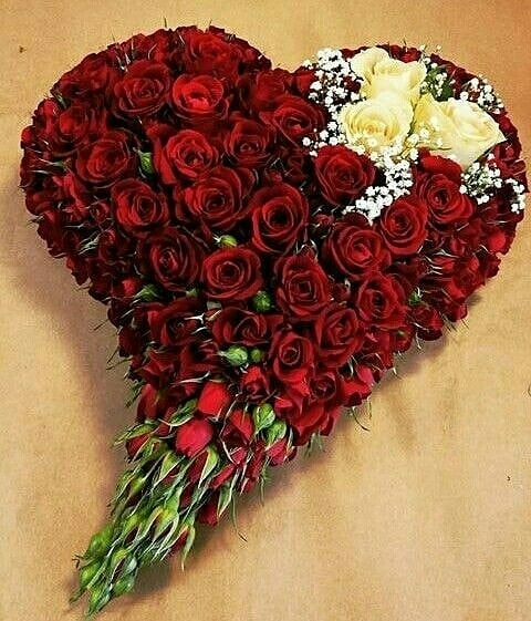 Roses