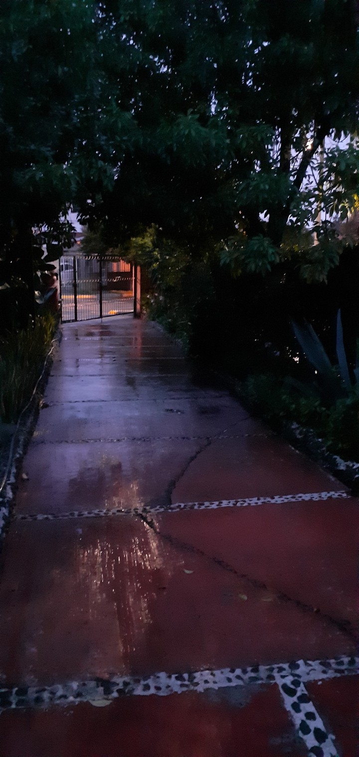 jardin