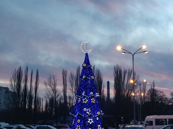 елка