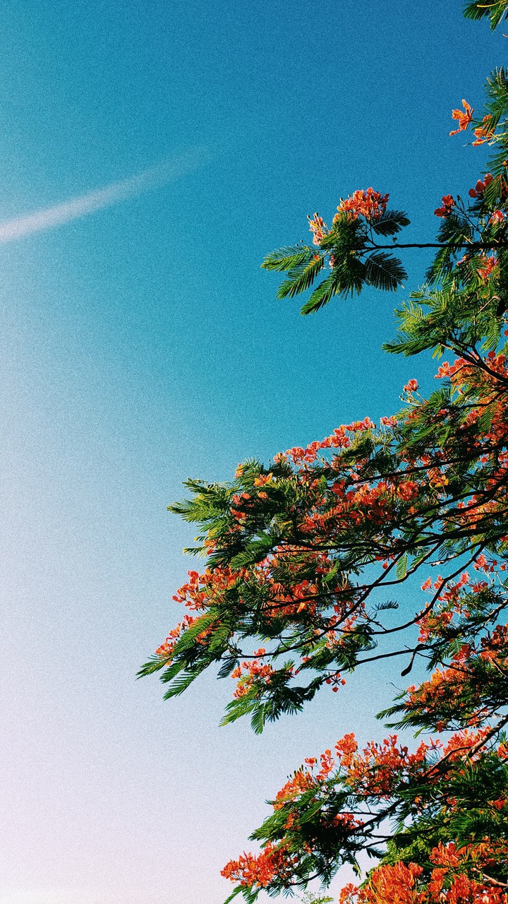 sky