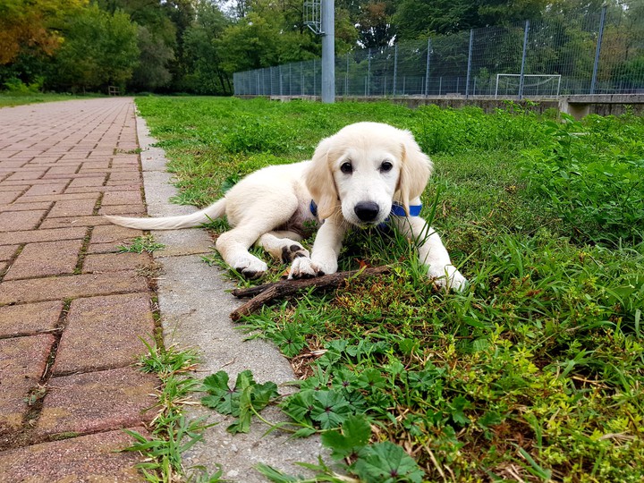 First time at the park