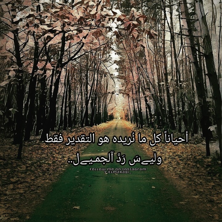 التقدير ليس إلاّ...