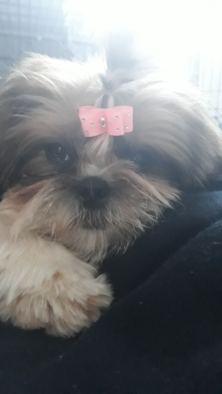 modelka