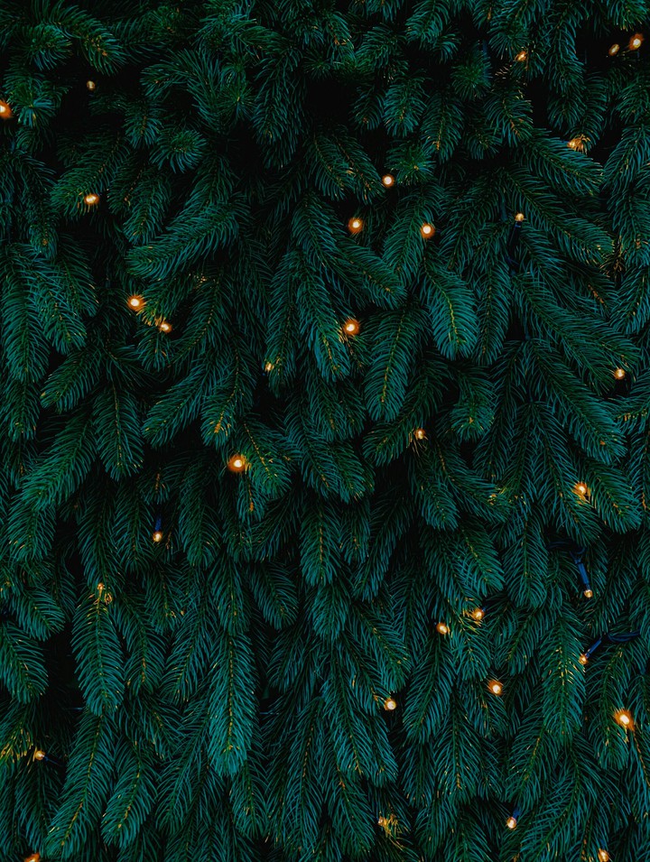 Christmas tree