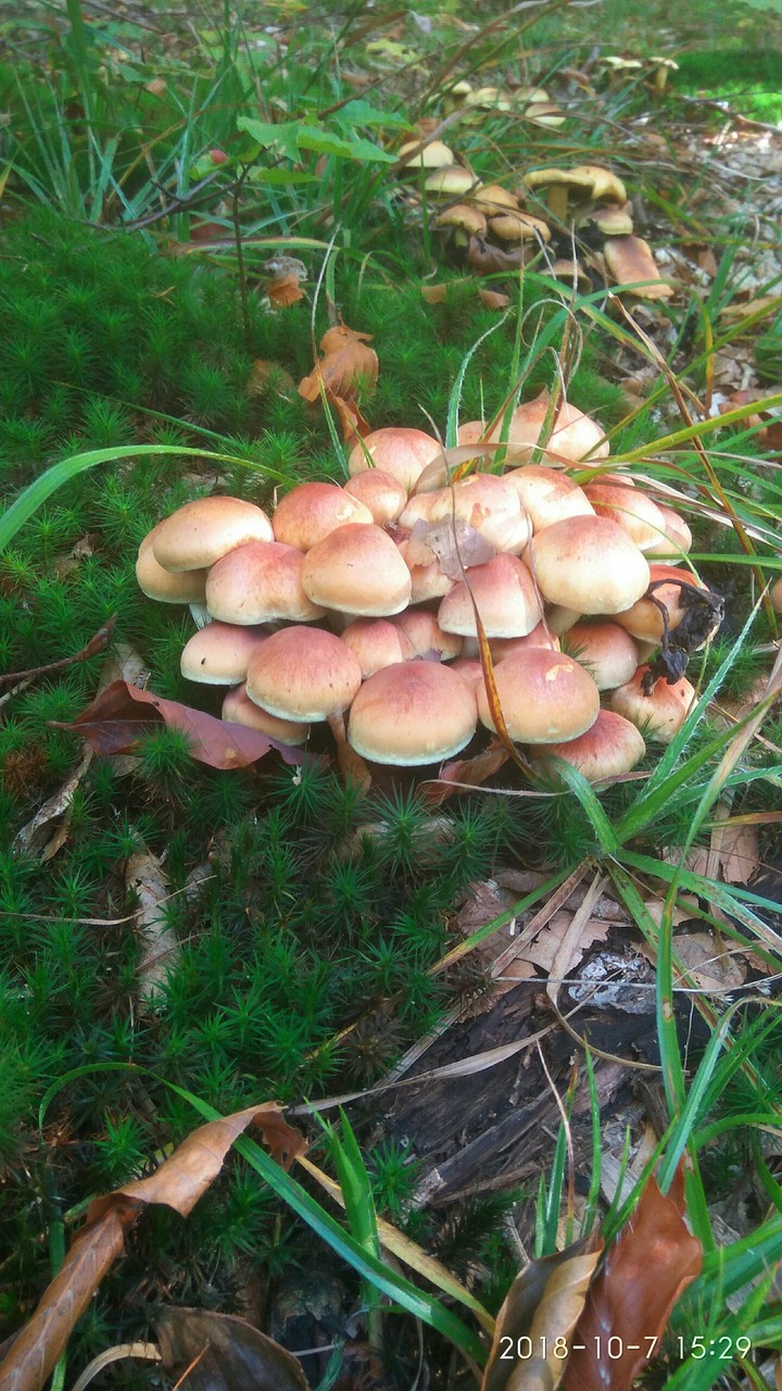 :)