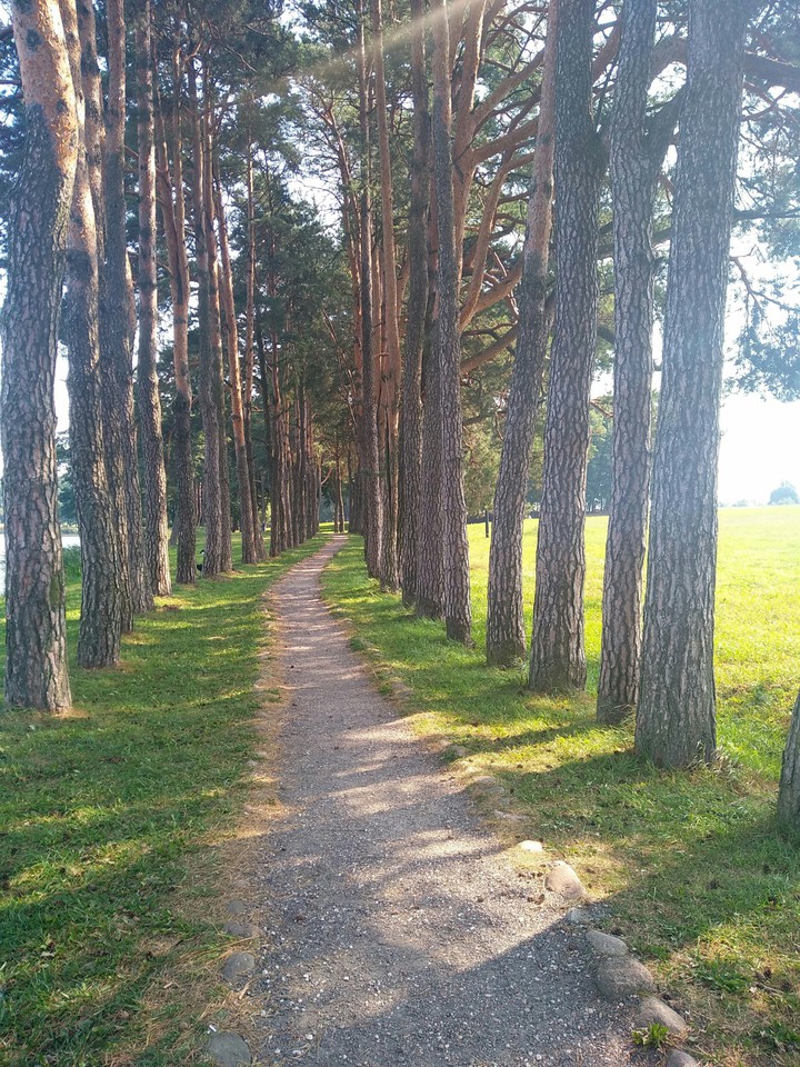 Парк