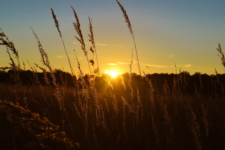 Fall Sunset