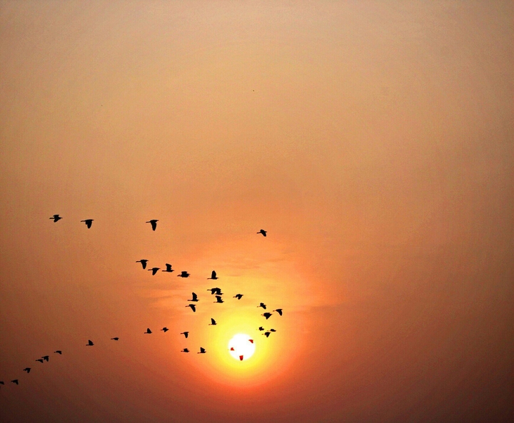 The rising sun