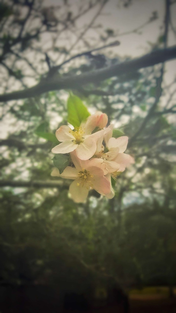 First sign of Spring