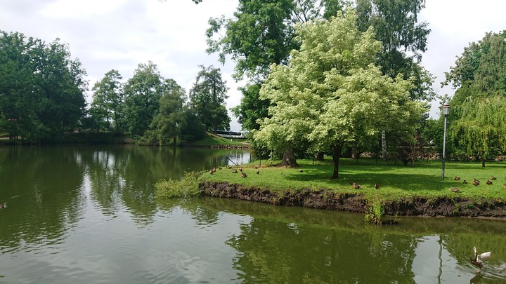 Cēsis