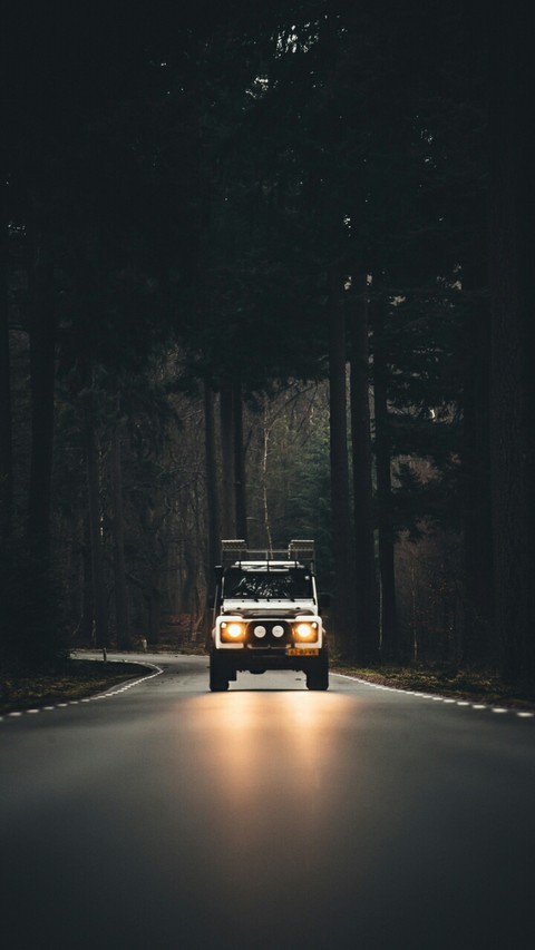 The Path in the dark