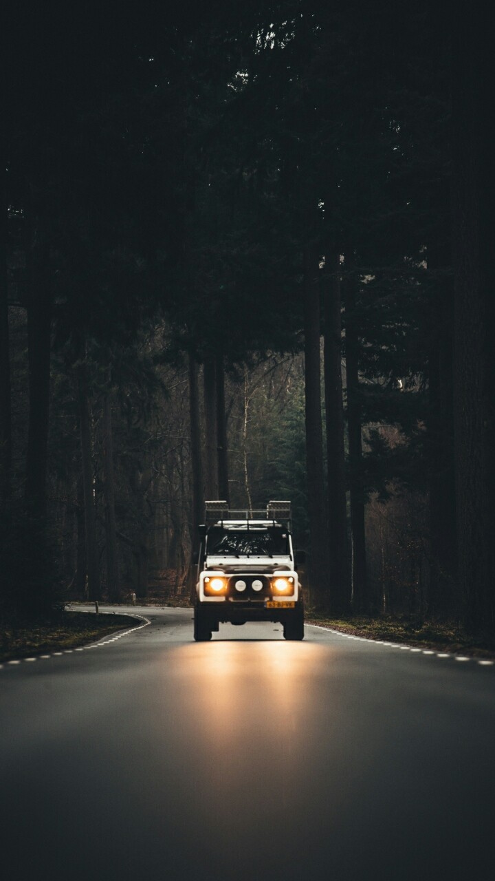 The Path in the dark