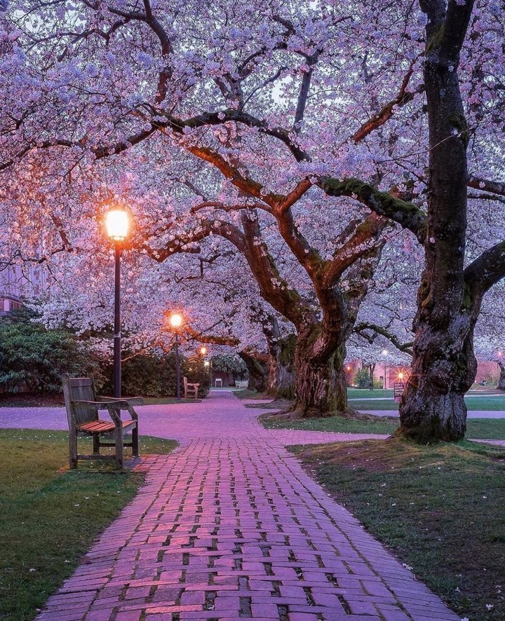 #park