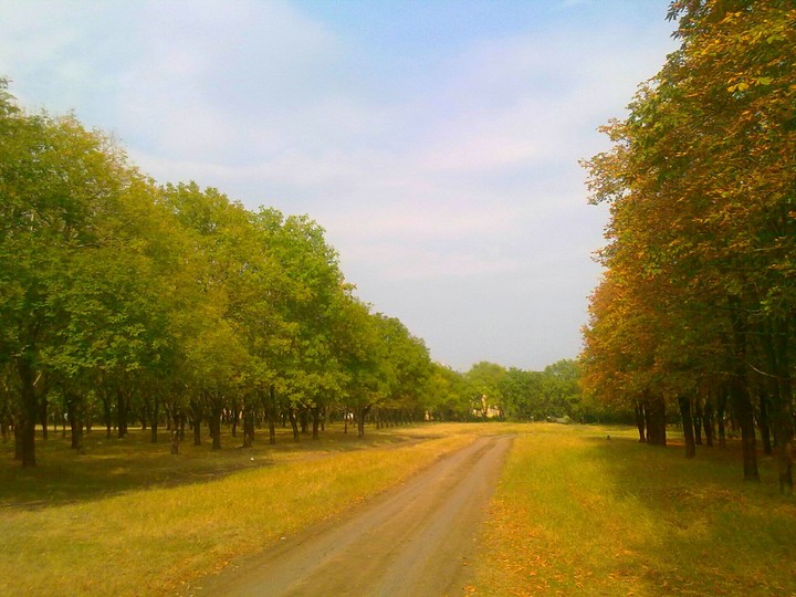 Autumn road