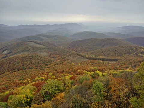 autumn,nature,mountain