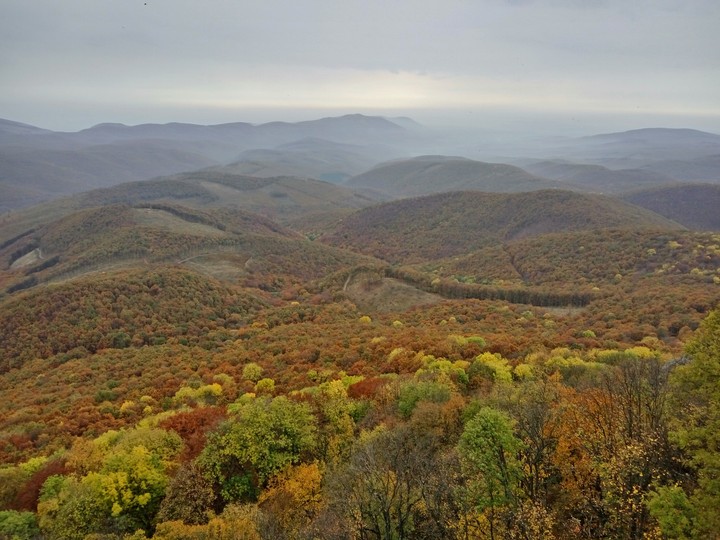 autumn,nature,mountain