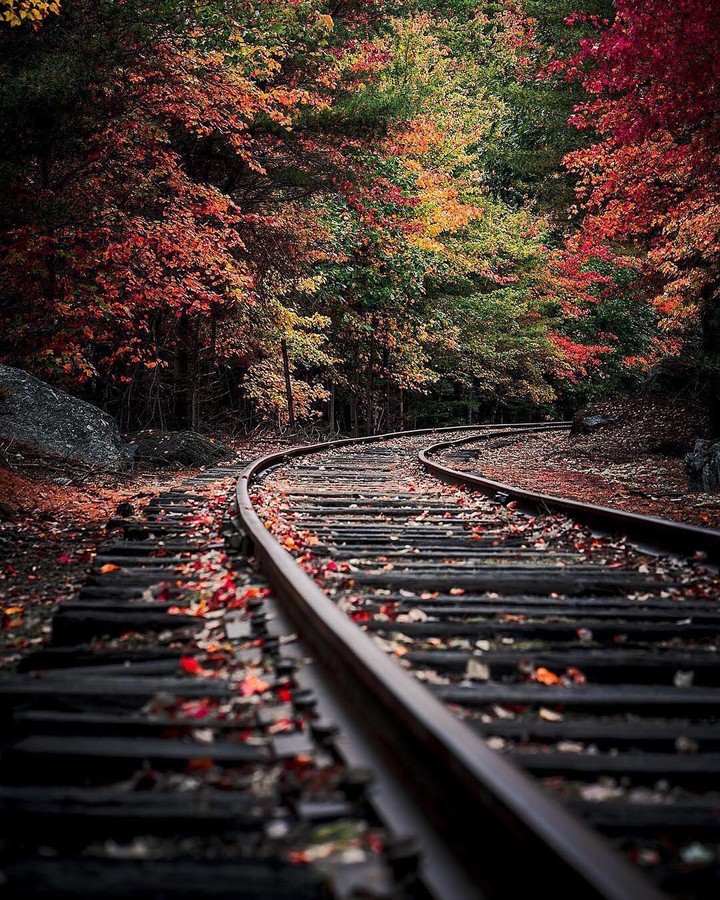 new view for leaf peepers