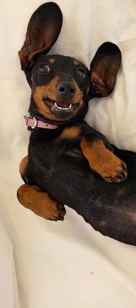 .