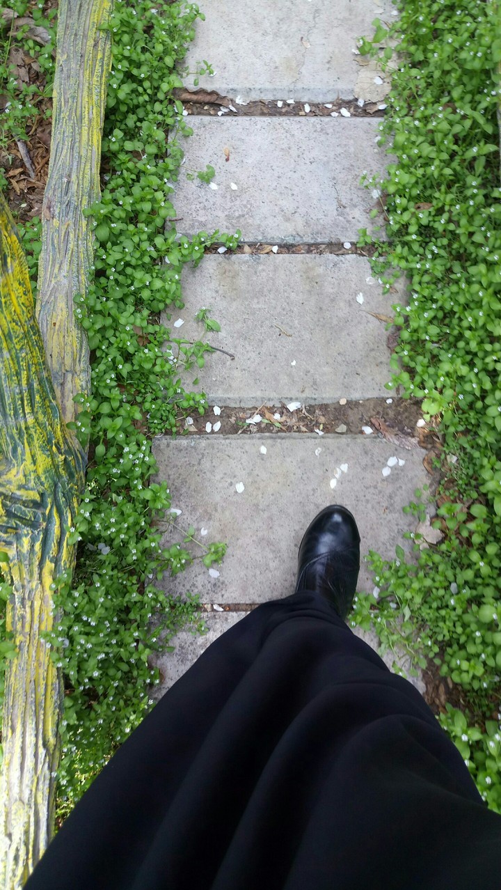 spring way